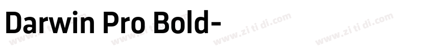 Darwin Pro Bold字体转换